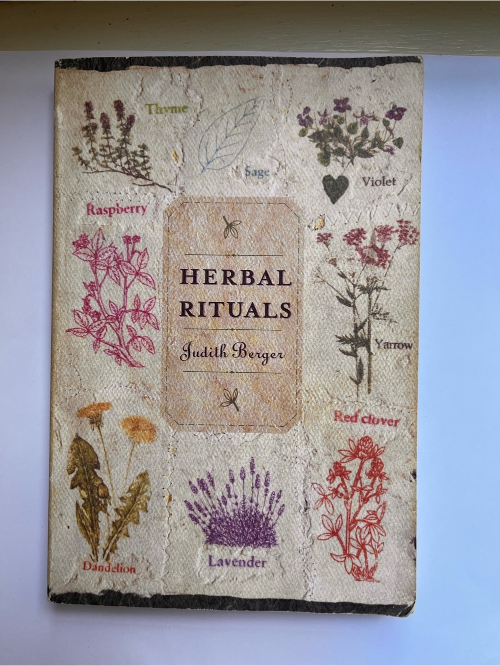 Herbal Rituals Botanical Wall Art Print - Cream with Multicolor Illustrations